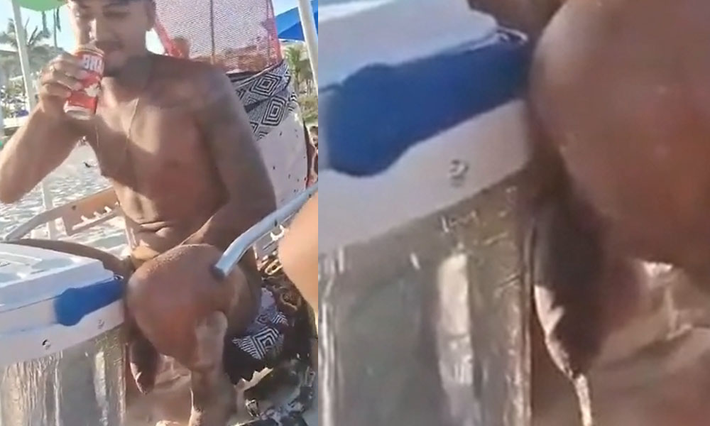 Big uncut cock pissing at the beach